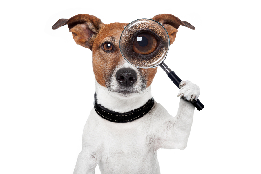 How to Protect a Seller in the Buyer Due Diligence Phase