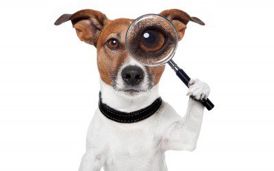 How to Protect a Seller in the Buyer Due Diligence Phase