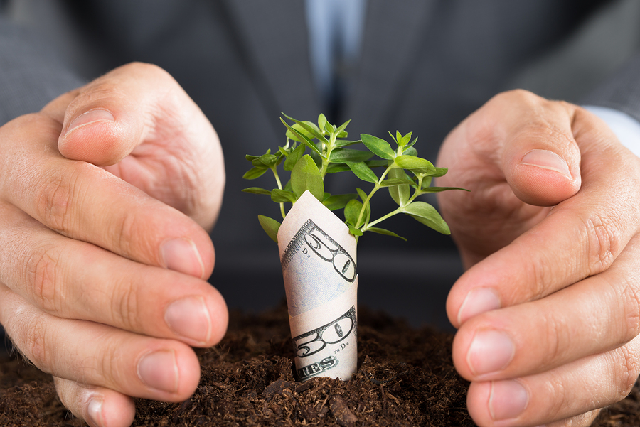 Raising Capital: Understanding the Options for Your Business